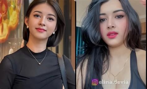 elina devia itu siapa|Biodata Elina Devia, Profil Kreator Konten Ratu Bunglon Lengkap。